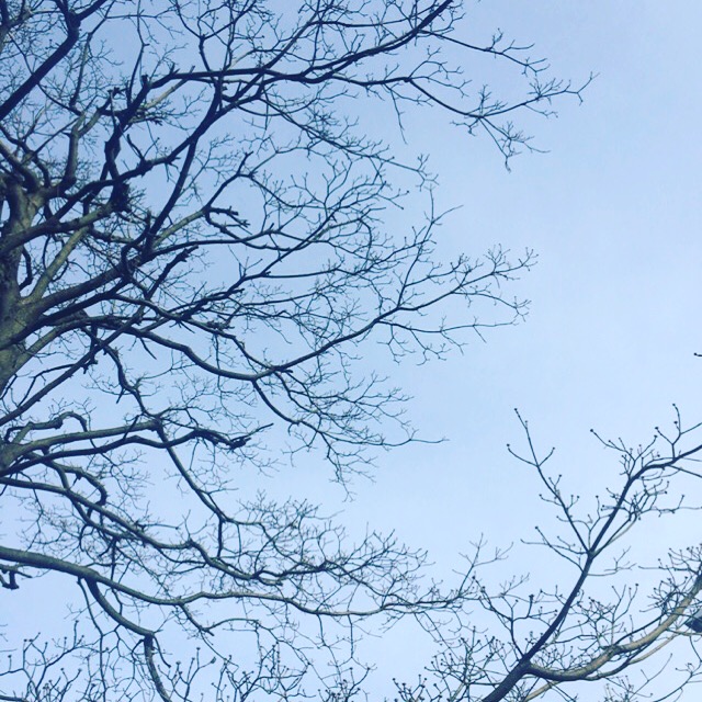 「聴いた」つもりになってない？？